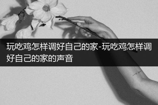 玩吃鸡怎样调好自己的家-玩吃鸡怎样调好自己的家的声音