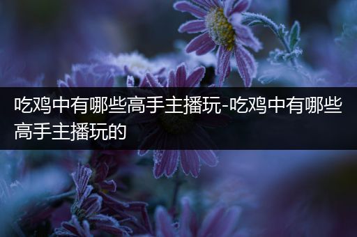 吃鸡中有哪些高手主播玩-吃鸡中有哪些高手主播玩的