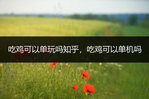 吃鸡可以单玩吗知乎，吃鸡可以单机吗