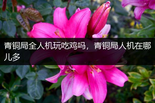 青铜局全人机玩吃鸡吗，青铜局人机在哪儿多