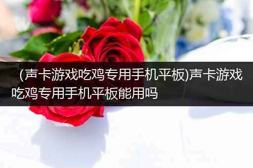 （声卡游戏吃鸡专用手机平板)声卡游戏吃鸡专用手机平板能用吗