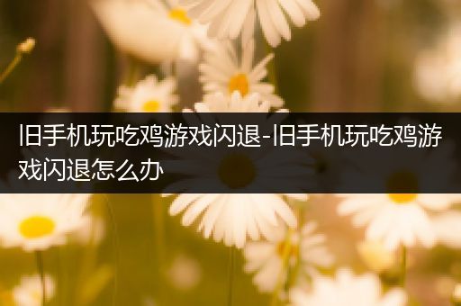 旧手机玩吃鸡游戏闪退-旧手机玩吃鸡游戏闪退怎么办