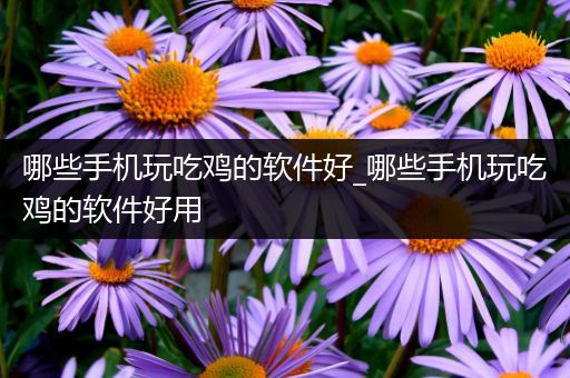 哪些手机玩吃鸡的软件好_哪些手机玩吃鸡的软件好用