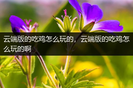 云端版的吃鸡怎么玩的，云端版的吃鸡怎么玩的啊