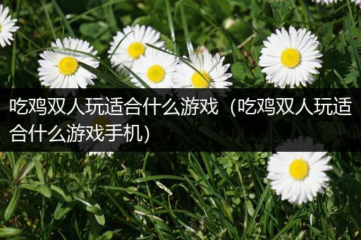 吃鸡双人玩适合什么游戏（吃鸡双人玩适合什么游戏手机）