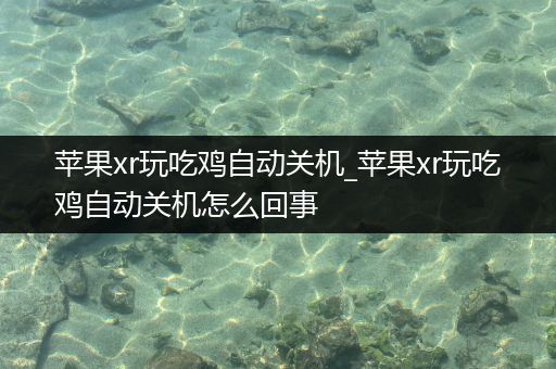 苹果xr玩吃鸡自动关机_苹果xr玩吃鸡自动关机怎么回事