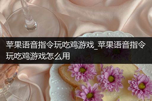 苹果语音指令玩吃鸡游戏_苹果语音指令玩吃鸡游戏怎么用