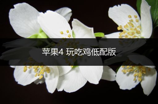 苹果4 玩吃鸡低配版