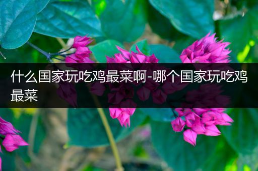 什么国家玩吃鸡最菜啊-哪个国家玩吃鸡最菜