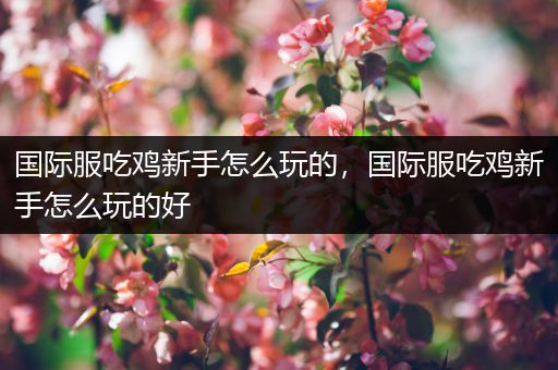 国际服吃鸡新手怎么玩的，国际服吃鸡新手怎么玩的好
