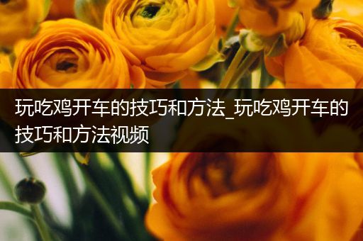 玩吃鸡开车的技巧和方法_玩吃鸡开车的技巧和方法视频