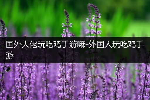 国外大佬玩吃鸡手游嘛-外国人玩吃鸡手游