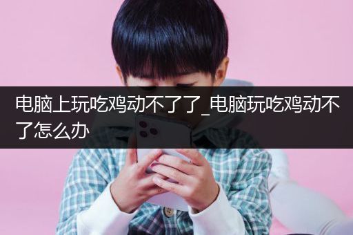 电脑上玩吃鸡动不了了_电脑玩吃鸡动不了怎么办