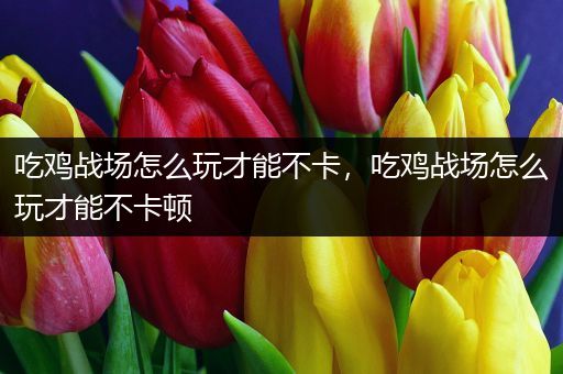 吃鸡战场怎么玩才能不卡，吃鸡战场怎么玩才能不卡顿