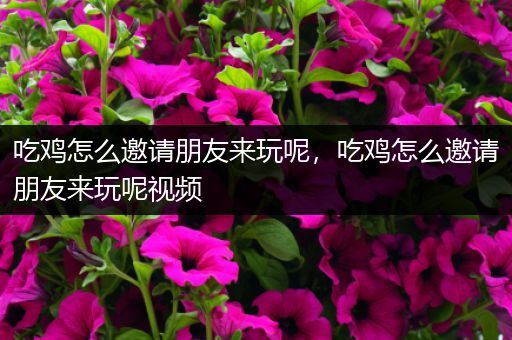 吃鸡怎么邀请朋友来玩呢，吃鸡怎么邀请朋友来玩呢视频