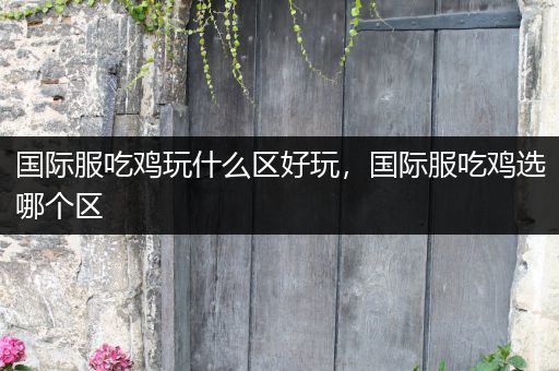 国际服吃鸡玩什么区好玩，国际服吃鸡选哪个区