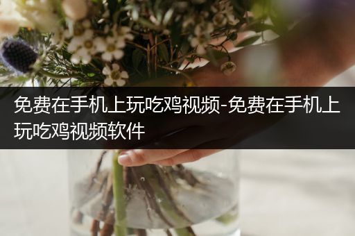 免费在手机上玩吃鸡视频-免费在手机上玩吃鸡视频软件