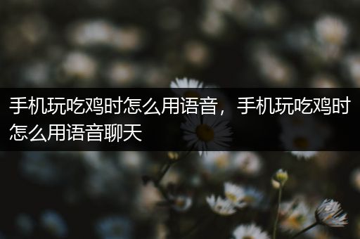手机玩吃鸡时怎么用语音，手机玩吃鸡时怎么用语音聊天