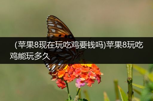 （苹果8现在玩吃鸡要钱吗)苹果8玩吃鸡能玩多久