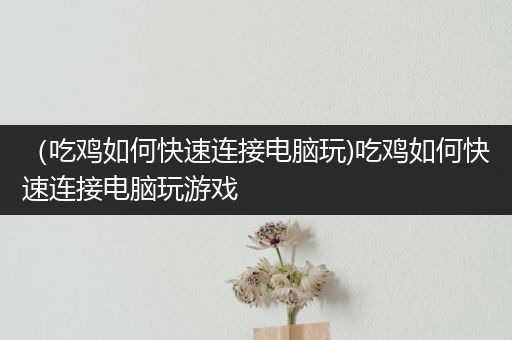 （吃鸡如何快速连接电脑玩)吃鸡如何快速连接电脑玩游戏