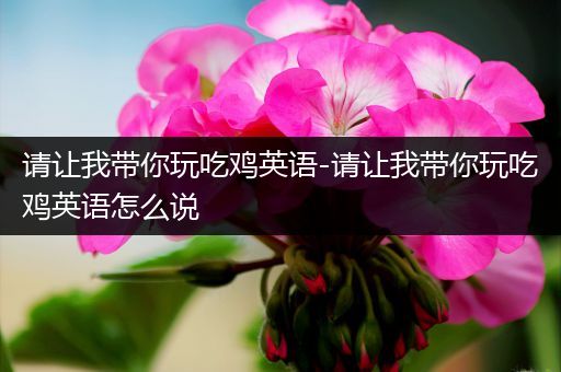 请让我带你玩吃鸡英语-请让我带你玩吃鸡英语怎么说