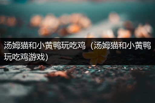 汤姆猫和小黄鸭玩吃鸡（汤姆猫和小黄鸭玩吃鸡游戏）