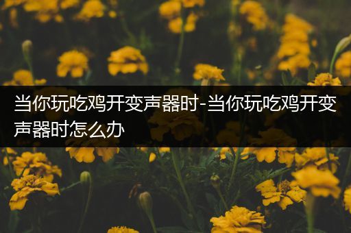 当你玩吃鸡开变声器时-当你玩吃鸡开变声器时怎么办