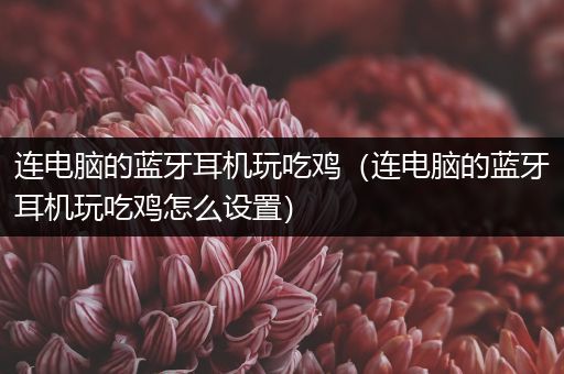 连电脑的蓝牙耳机玩吃鸡（连电脑的蓝牙耳机玩吃鸡怎么设置）