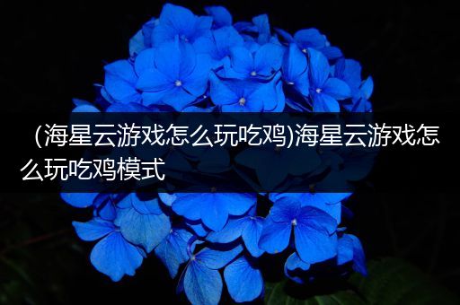 （海星云游戏怎么玩吃鸡)海星云游戏怎么玩吃鸡模式