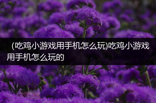 （吃鸡小游戏用手机怎么玩)吃鸡小游戏用手机怎么玩的