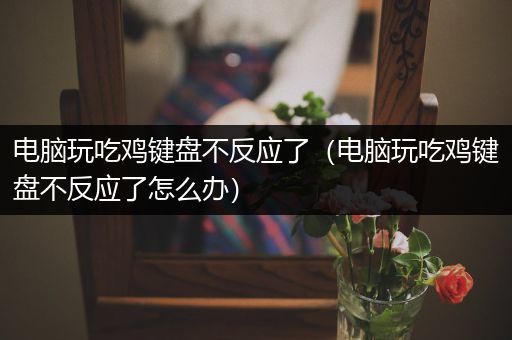 电脑玩吃鸡键盘不反应了（电脑玩吃鸡键盘不反应了怎么办）