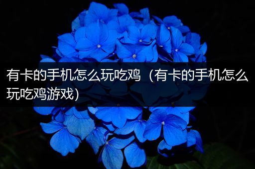 有卡的手机怎么玩吃鸡（有卡的手机怎么玩吃鸡游戏）
