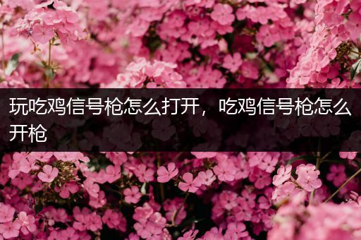 玩吃鸡信号枪怎么打开，吃鸡信号枪怎么开枪