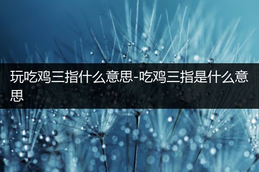 玩吃鸡三指什么意思-吃鸡三指是什么意思