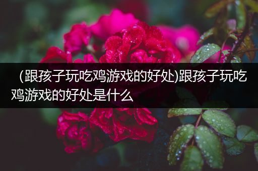 （跟孩子玩吃鸡游戏的好处)跟孩子玩吃鸡游戏的好处是什么