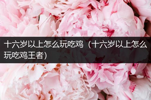 十六岁以上怎么玩吃鸡（十六岁以上怎么玩吃鸡王者）