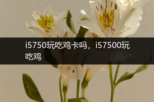 i5750玩吃鸡卡吗，i57500玩吃鸡