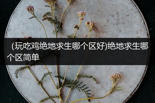（玩吃鸡绝地求生哪个区好)绝地求生哪个区简单