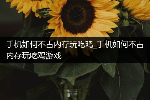 手机如何不占内存玩吃鸡_手机如何不占内存玩吃鸡游戏