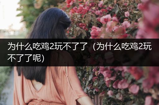 为什么吃鸡2玩不了了（为什么吃鸡2玩不了了呢）