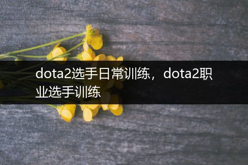 dota2选手日常训练，dota2职业选手训练