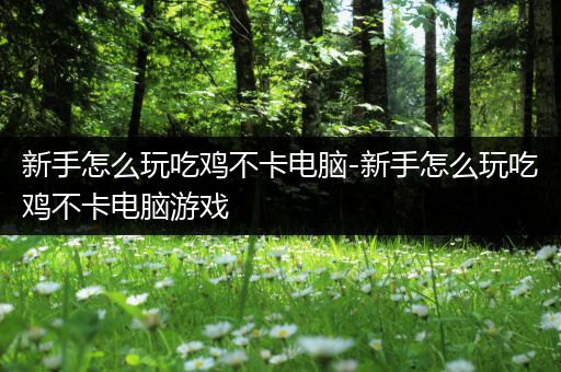 新手怎么玩吃鸡不卡电脑-新手怎么玩吃鸡不卡电脑游戏