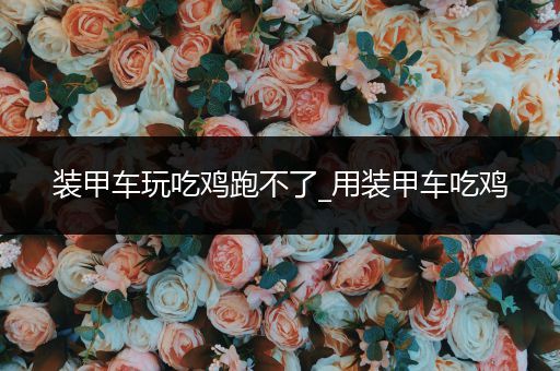 装甲车玩吃鸡跑不了_用装甲车吃鸡