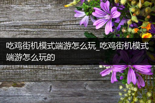 吃鸡街机模式端游怎么玩_吃鸡街机模式端游怎么玩的
