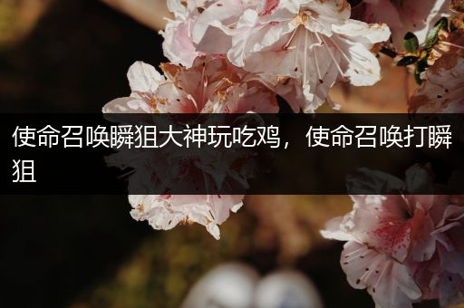 使命召唤瞬狙大神玩吃鸡，使命召唤打瞬狙