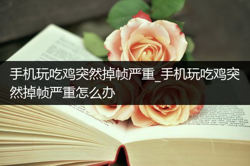 手机玩吃鸡突然掉帧严重_手机玩吃鸡突然掉帧严重怎么办