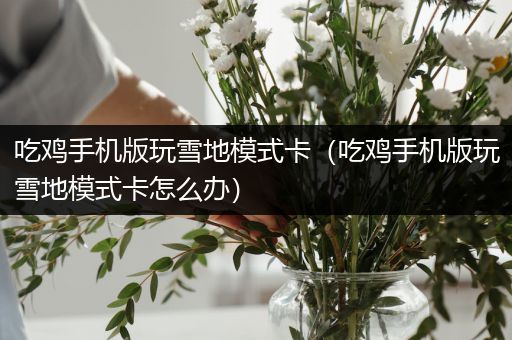 吃鸡手机版玩雪地模式卡（吃鸡手机版玩雪地模式卡怎么办）