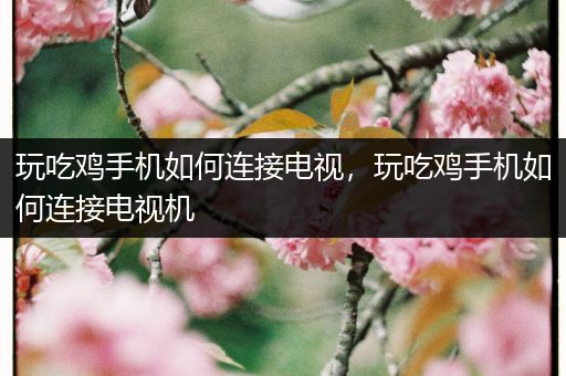 玩吃鸡手机如何连接电视，玩吃鸡手机如何连接电视机