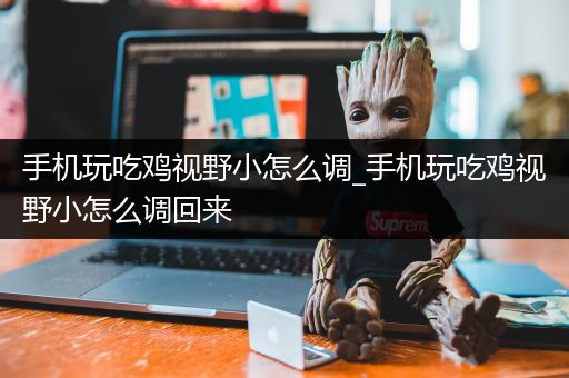 手机玩吃鸡视野小怎么调_手机玩吃鸡视野小怎么调回来