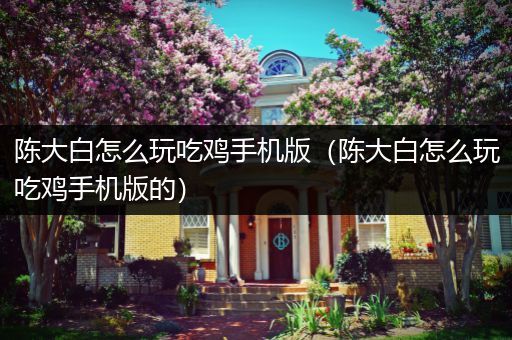 陈大白怎么玩吃鸡手机版（陈大白怎么玩吃鸡手机版的）